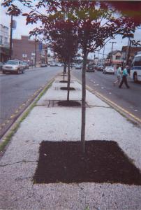 Image selected by project leader